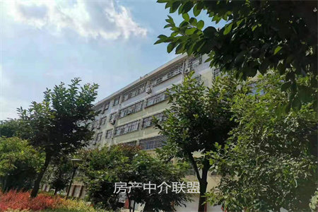 洲河新南岸2室2厅1卫42万75m2毛坯出售